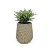 13.4" Self-watering Wicker Planter - Garden Decoration Pot - Beige - Round