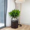 Set of 3 Multi-purposes Basket with handler - Hand Woven Wicker - Espresso