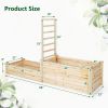 Raised Garden Bed with Trellis